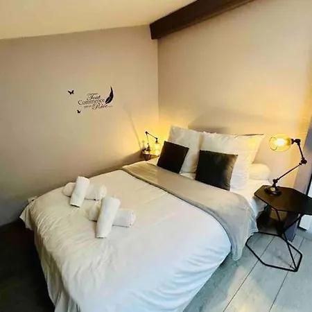 « cote Jardin » Central/piscine/jacuzzi/parking * Carcassonne